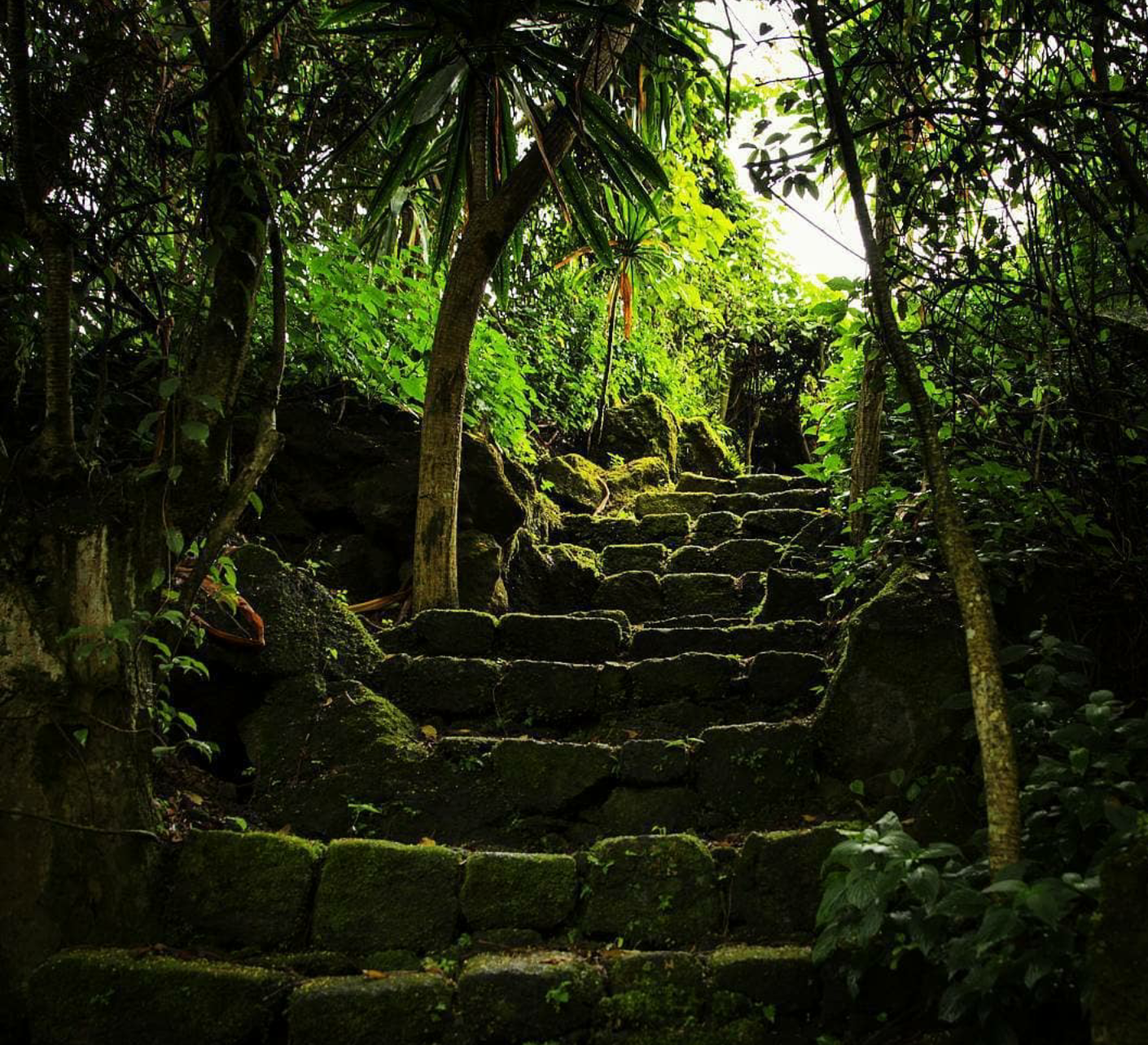 Buhanga Eco-Park